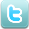 bird, twitter, twitter icon icon