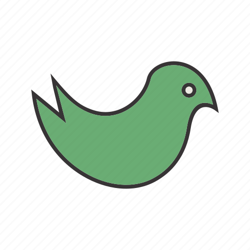 Cuite bird, seo, logo, social media, twitter icon - Download on Iconfinder