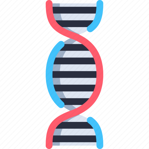 Dna, dna structure, genetic, biology, genetical, deoxyribonucleic acid, medical icon - Download on Iconfinder