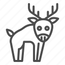 deer, animal, reindeer, antler, moose, elk, forest, wild, horn