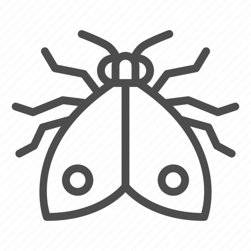 Bedbug, bug, insect, bed, pest, parasite, wing icon - Download on Iconfinder