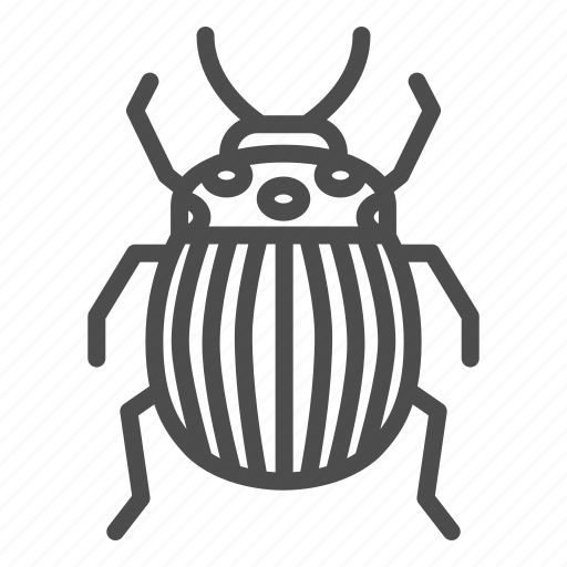 Beetle, insect, potato, bug, colorado, pest, stripes icon - Download on Iconfinder