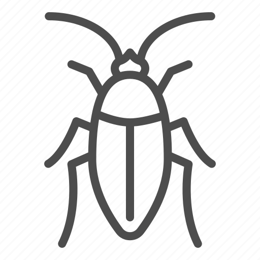Cockroach, insect, bug, pest, antennae, roach, nature icon - Download on Iconfinder