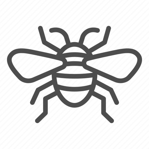 Insect, bee, nature, wild, midge, wing, bug icon - Download on Iconfinder