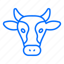 cow, beef, calf, cattle, animal, pet, bull