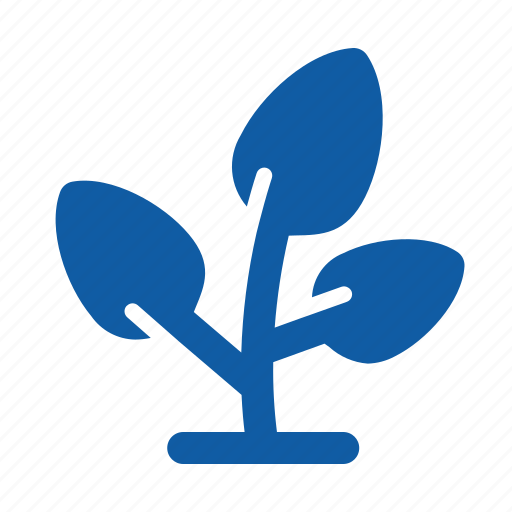 Ecology, floral, flower, nature, plant, tree icon - Download on Iconfinder