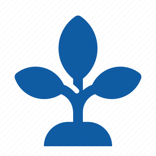 Chart, ecology, flower, growth, nature, plant, tree icon - Download on Iconfinder