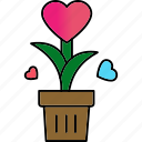 love plant, heart, love, plant, romantic, romance, valentine, growth, love-growth