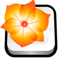 Adobe, illustrator icon - Free download on Iconfinder