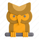 owl, bird