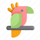 parrot, bird