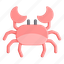 crab, animal 