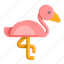 flamingo, bird, animal 