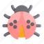 ladybug, animal 
