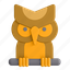 owl, bird 