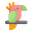 parrot, bird 