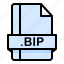 bip, file, file extension, file format, file type 