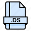 ds, file, file extension, file format, file type 