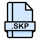 file, file extension, file format, file type, skp