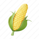 corn, agriculture, food, vegetable, farm, fruit, maize 