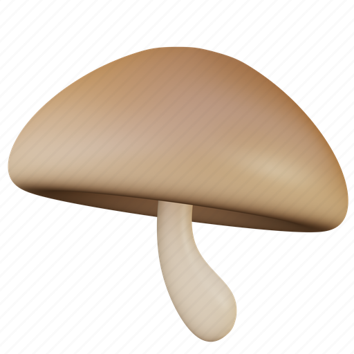 Mushroom, vegetable, forest, kitchen, grocery, cook, food 3D illustration - Download on Iconfinder