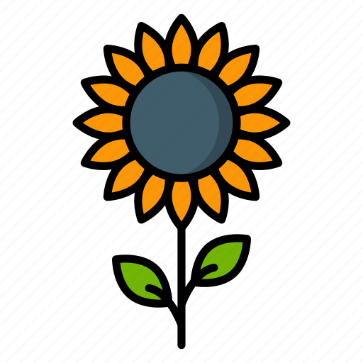 Sunflower, organic, seeds, agriculture, plant, nature, floral icon - Download on Iconfinder