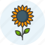 sunflower, organic, seeds, agriculture, plant, nature, floral 