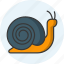 snail, spiral, winkle, creature, shell, wildlife, slow 