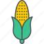 corn, farm, food, harvest, grain, wheat, maize 