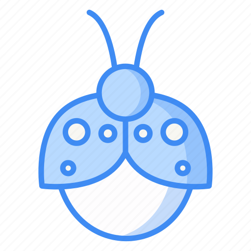Ladybug, insect, wildlife, fly, lady beetle, entomology, nature icon - Download on Iconfinder