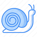 snail, spiral, winkle, creature, shell, wildlife, slow