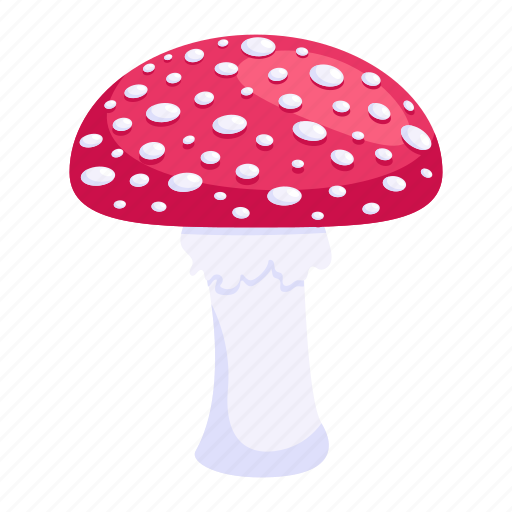 Toadstool, mushroom, fungus, fungi, food icon - Download on Iconfinder