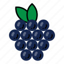 fruit, simple, fruits, healthy, fresh, blueberries
