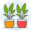 plant, pot, plant pot, succulent, flower, decoration, leafs 
