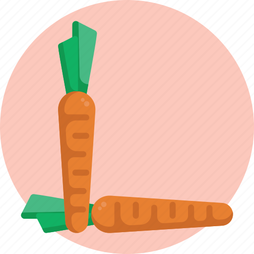 Carrot, diet, food, healthy, salad, vegetable, vegetarian icon - Download on Iconfinder