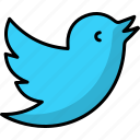 tweet, social media, network, bird