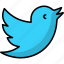 tweet, social media, network, bird 