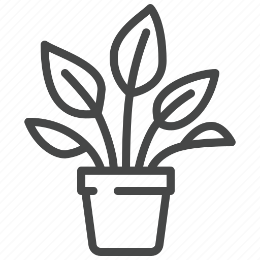 Phytodesign, home, plant, flower, floral icon - Download on Iconfinder