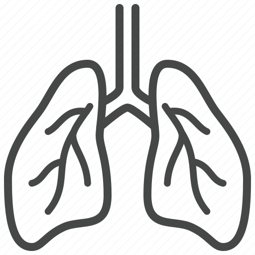 Lungs, bronchography, human, internal, organ icon - Download on Iconfinder