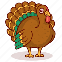 bird, feathers, thanksgiving, turkey