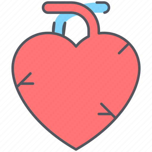 Heart, breath, cardiac arrest, health, infarction, organ, respiratory icon - Download on Iconfinder