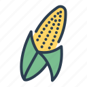 autumn, corn, food, harvest