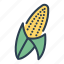 autumn, corn, food, harvest 