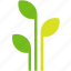 plant, ecology, leaves, growth, flower, growing 