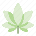 cannabis, drug, hemp, marijuana, medical, plant, weed