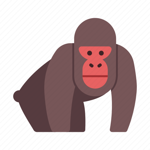 Africa, animal, ape, gorilla, monkey, wildlife, zoo icon - Download on Iconfinder