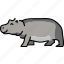 hippopotamus, artiodactyl, animal 