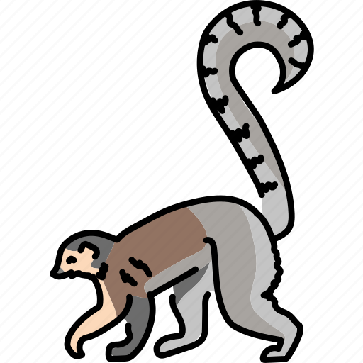 Lemur, primate, animal icon - Download on Iconfinder