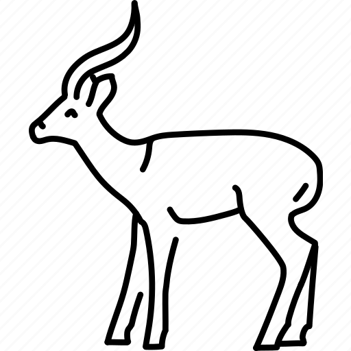Gazelle, artiodactyl, animal icon - Download on Iconfinder