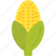 agriculture, maize, vegetable, corn, food, grain 